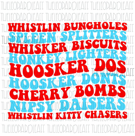 Whistlin Bungholes, Joe Dirt, 4th of July, Independence day, funny DIGITAL DESIGN **PNG file for Sublimation**