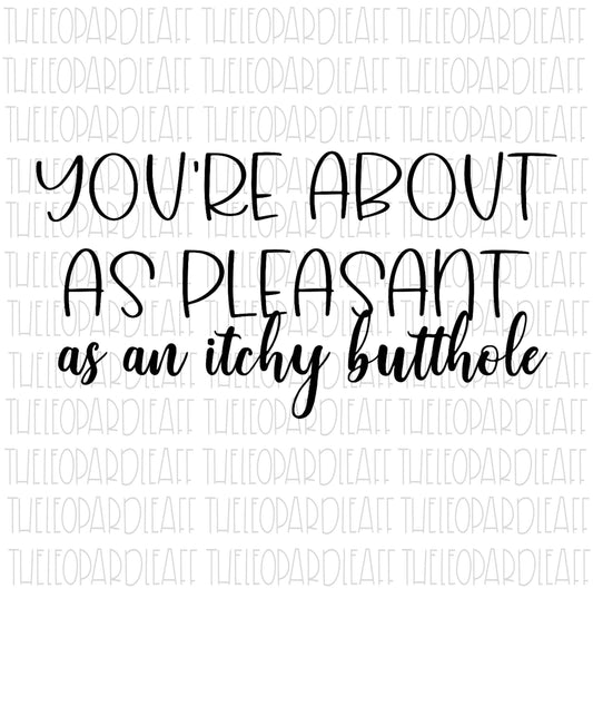 You're about as Pleasant as an Itchy Butthole, funny, DIGITAL DESIGN **PNG file for Sublimation**